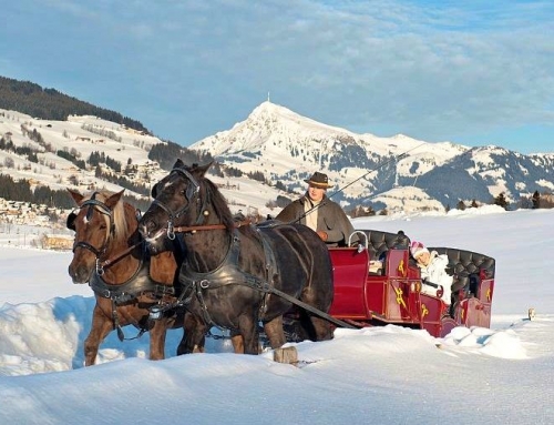 Riding & coach tours